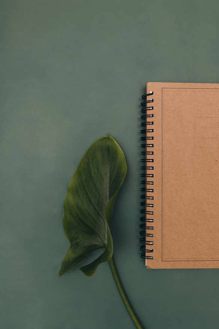 Brown Notebook with Green Leaf on Green Background